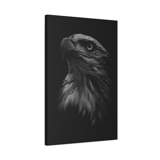 Majestic Bald Eagle Black & White Portrait Canvas (20 x 30)