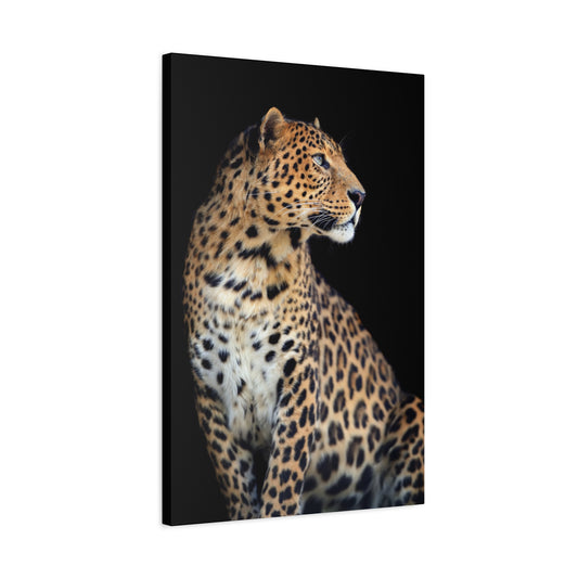 Majestic Leopard Portrait – 20x30 Canvas Wall Art