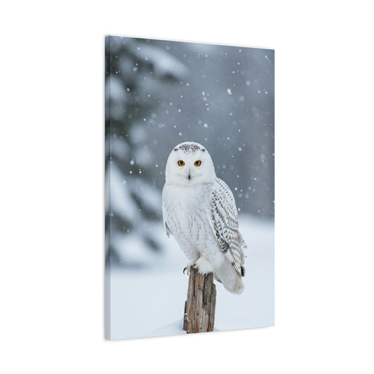 Arctic Sentinel | Snowy Owl Premium Wildlife Canvas Art