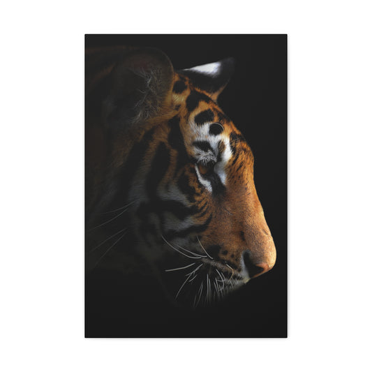 Majestic Tiger in Shadow - Dark Cinematic Wildlife Canvas - 20x30 Inch