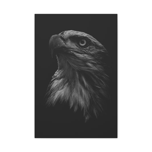 Majestic Bald Eagle Black & White Portrait Canvas (20 x 30)