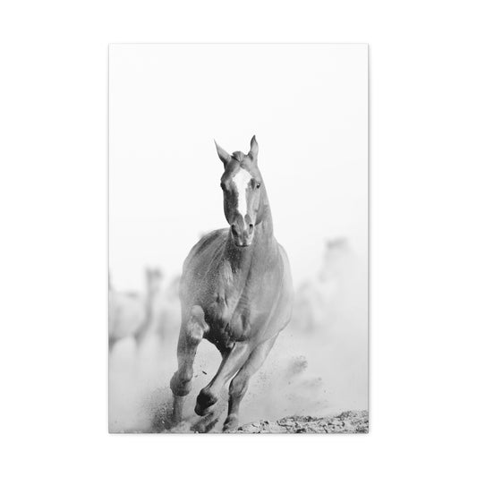 Wild Spirit: Galloping Horse Black & White Canvas Wall Art – 20x30"