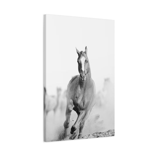 Wild Spirit: Galloping Horse Black & White Canvas Wall Art – 20x30"